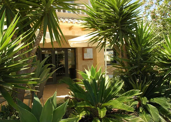 Hotel met tennis: Hotel Noguera El Albir